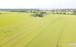 Sở NN&PTNT Tiền Giang khảo sát các mô hình sản xuất nông nghiệp