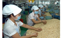 Hàng xuất khẩu Việt Nam chiếm 2% thị phần châu Âu