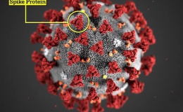 Biến thể mới của virus corona chủng mới “đang lây lan quá nhanh”