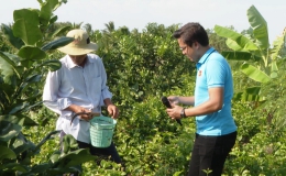 Cây lành trái ngọt “Trồng hoa lài cho kinh tế cao ở Vĩnh Hựu – Gò Công Tây”