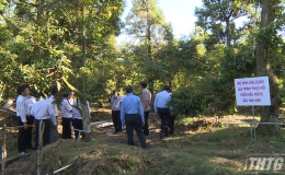 Bộ trưởng Bộ NN&PTNT thăm vườn sầu riêng sau hạn mặn