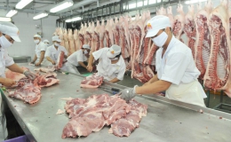 Thị trường thịt heo tết: Nguồn cung phong phú, giá không ổn định