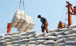 60 tấn gạo Việt Nam đầu tiên vào Anh theo UKVFTA