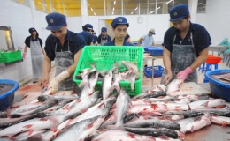 Campuchia huỷ lệnh cấm nhập khẩu cá tra Việt Nam sau khi Bộ Công Thương vào cuộc