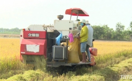 Hội thảo khôi phục độ phì nhiêu cho đất canh tác lúa ở các huyện phía Đông