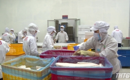 UBND tỉnh Tiền Giang yêu cầu tăng cường phòng chống dịch Covid-19 trong các khu cụm công nghiệp