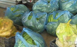 Tiền Giang cung ứng hơn 3.600 combo lương thực, thực phẩm cho các tỉnh mỗi ngày