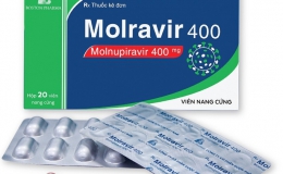 Giá bán lẻ thuốc kháng virus Molnupiravir từ hơn 8.000 đồng đến 12.500 đồng/viên