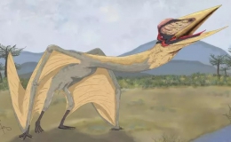 “Rồng tử thần” sải cánh 9 m hiện hình ở Nam Mỹ: loài hoàn toàn mới