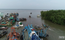 Gò Công Đông: Nhiều tàu cá nằm bờ do giá xăng, dầu tăng cao