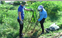 Huyện đoàn Tân Phú Đông ra quân trồng cây xanh năm 2022