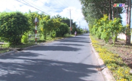 Chuyên đề 22.10 – Tuyến đường hoa, tuyến đường xanh – sạch – đẹp tại xã Tân Mỹ Chánh