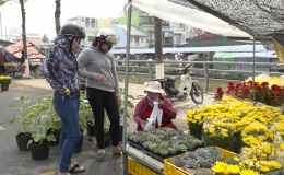Chuyên đề 24/1: Nét đẹp văn hóa Chợ hoa xuân Quý Mão 2023 thị trấn Vĩnh Bình
