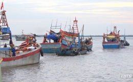 Ngư dân vùng biển Tiền Giang ra khơi đầu năm với ước vọng bội thu