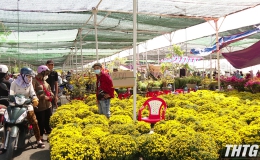 Chợ hoa Xuân Mỹ Tho chiều 30 Tết, nỗi buồn của người bán hoa