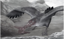 Phát hiện hải âu quái vật “sát thủ” như thằn lằn bay và có thể tái sinh