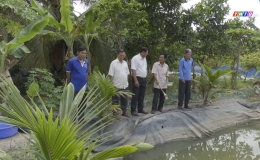 Chuyên đề 14.2 – Nông dân Võ Văn Thiệt thoát nghèo từ mô hình nuôi cá cảnh.