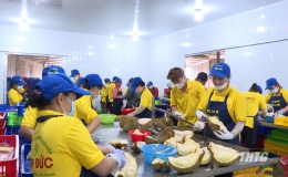 Huyện Cai Lậy tạo việc làm nâng cao thu nhập cho người dân