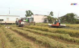 Chuyên đề 16.2 – Vụ lúa Đông Xuân 2022-2023, nông dân trúng mùa được giá.