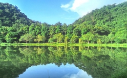 Cúc Phương 5 lần liên tiếp được bình chọn là ‘Vườn quốc gia hàng đầu châu Á’