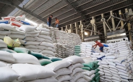 Gạo Việt Nam tiếp tục thiết lập kỷ lục mới
