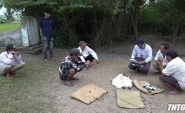 Triệt xóa tụ điểm đá gà ăn thua bằng tiền tại xã Bình Tân, huyện Gò Công Tây