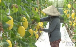 Tiền Giang tăng cường công tác chuyển giao khoa học kỹ thuật nông nghiệp