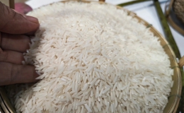 Giá lúa gạo bất ngờ giảm mạnh sau Tết