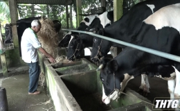 Huyện Gò Công Tây phát triển chăn nuôi gắn với bảo vệ môi trường