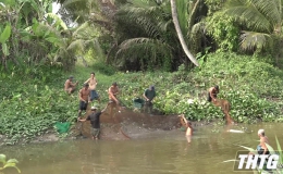Độc đáo nghề bắt cá đồng mùa nước cạn ở Gò Công Tây