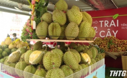 Tiền Giang dự kiến tổ chức Lễ hội trái cây vào tháng 6/2024