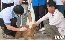 Tiền Giang quản lý chặt chẽ bệnh dại trên đàn chó, mèo