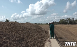 Huyện Gò Công Tây kiểm tra xử lý tình trạng khai thác đất mặt ruộng trái phép