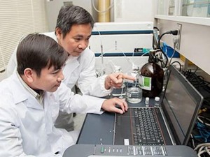 Nhà khoa học Việt tìm ra chất ức chế tế bào ung thư máu từ gạo
