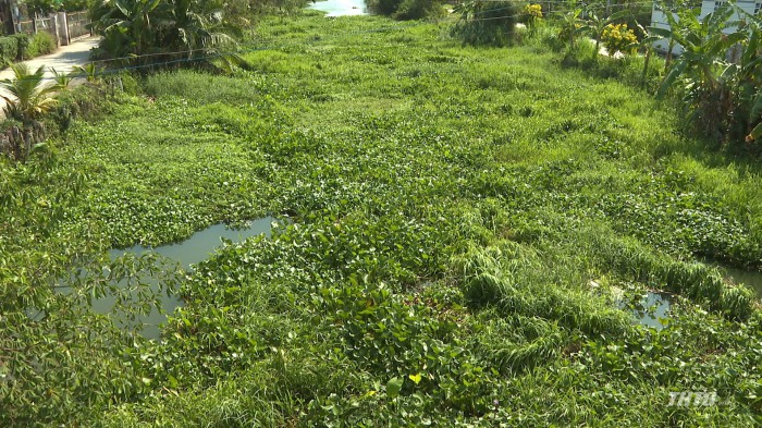 Tiền Giang kiểm tra hệ thống thủy lợi ở Gò Công Đông nhằm đảm bảo trữ nước cho sản xuất