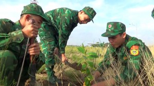 Bộ đội Biên phòng Tiền Giang trồng cây xanh hưởng ứng “Tết trồng cây đời đời nhớ ơn Bác Hồ”