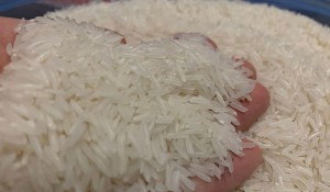 Giá gạo xuất khẩu của Việt Nam cao nhất thế giới