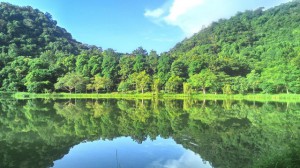Cúc Phương 5 lần liên tiếp được bình chọn là ‘Vườn quốc gia hàng đầu châu Á’