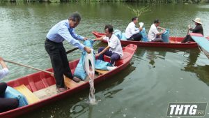 Tiền Giang thả cá tái tạo nguồn lợi thủy sản ở khu Bảo tồn Đồng Tháp Mười