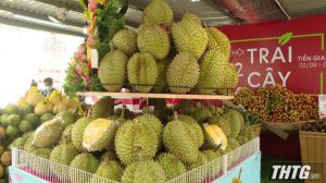 Tiền Giang dự kiến tổ chức Lễ hội trái cây vào tháng 6/2024