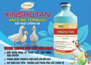 Lô vaccine phòng bệnh TEMBUSU ở thủy cầm nhập khẩu chính ngạch đầu tiên về Việt Nam